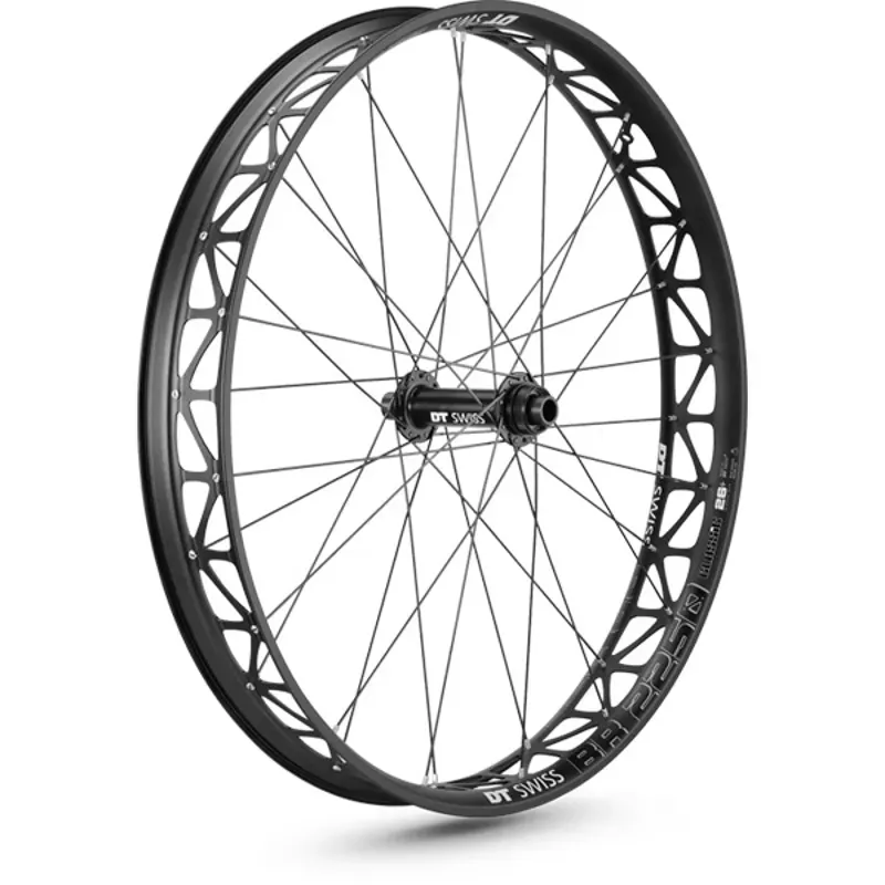 DT Swiss BR 2250 26in Front Wheel in Black
