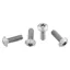 Wolf Tooth Low Profile Titanium Bottle Cage Bolts in Silver